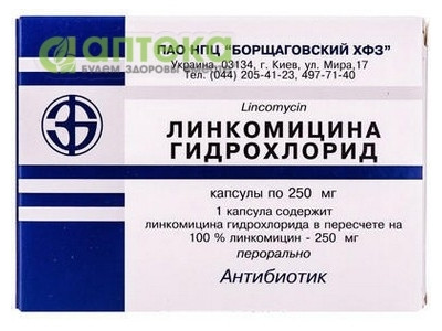 На фото - ЛИНКОМИЦИНА ГИДРОХЛОРИД капсулы по 0,25 г №10х2. На этой странице можно купить ЛИНКОМИЦИНА ГИДРОХЛОРИД в Америке США Канаде. А также узнать стоимость ЛИНКОМИЦИНА ГИДРОХЛОРИД в Америке США Канаде